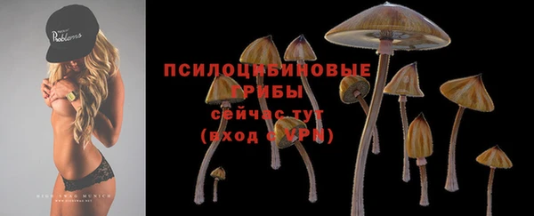 альфа пвп Баксан